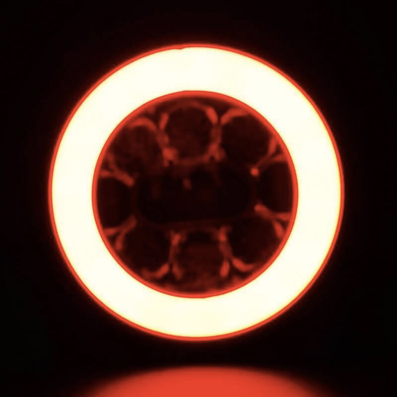 feu arrière LED câble universel à gauche et à droite (universel) 12/24V Lavaflow (photo)