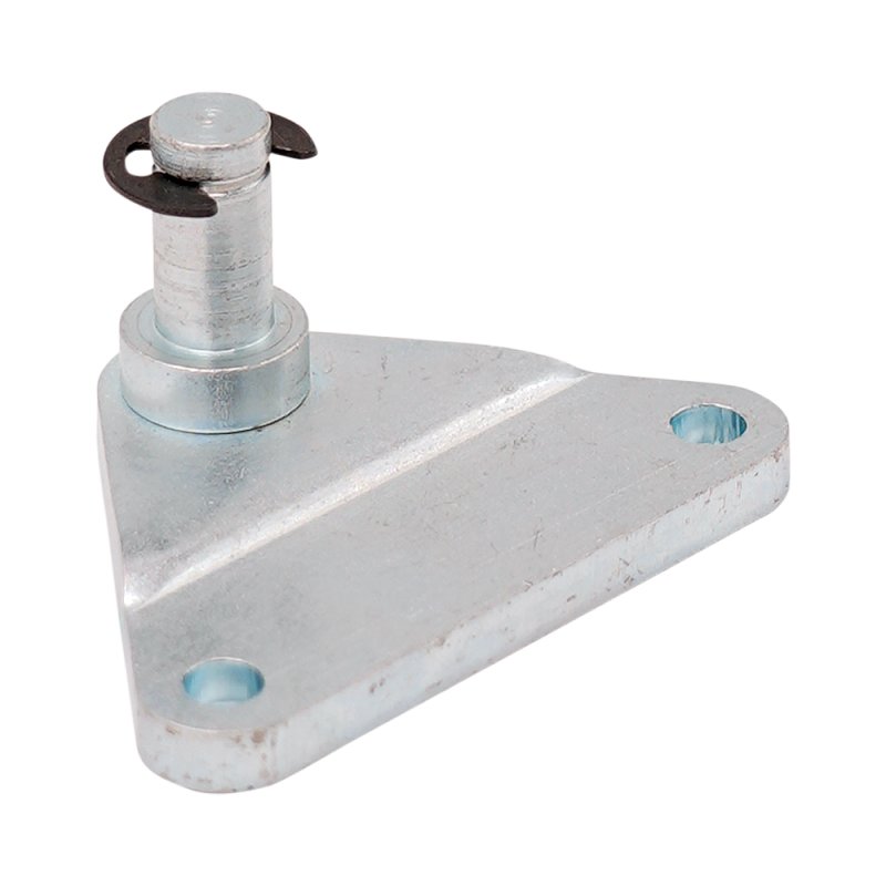 plaque de fixation avec cheville inox 316 Max 3000N, avec ressort de verrouillage