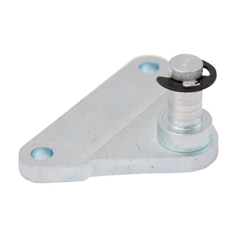 plaque de fixation avec cheville inox 316 Max 3000N, avec ressort de verrouillage