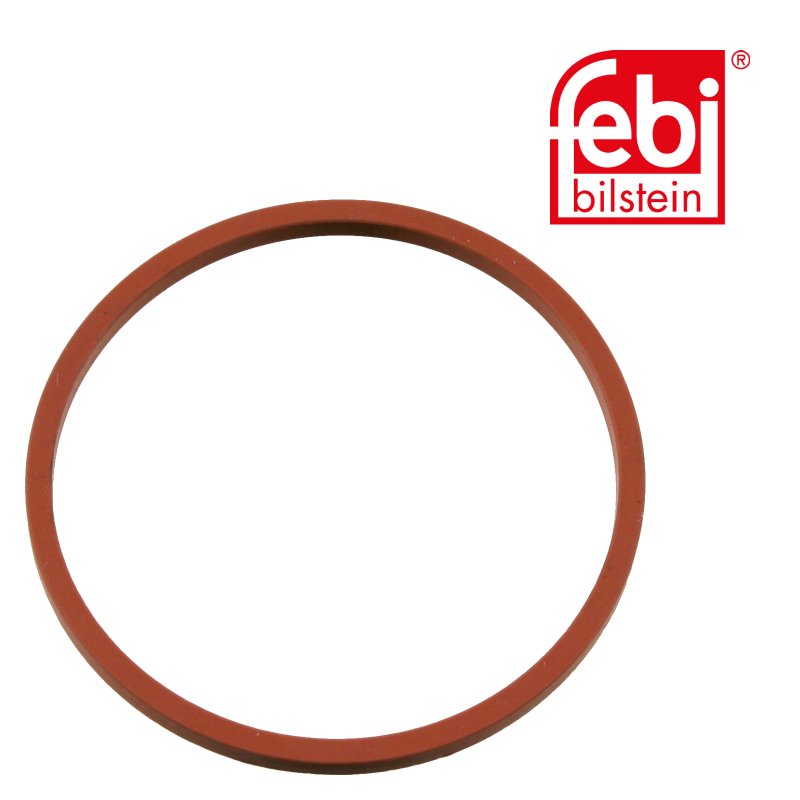 Joint etanchéité collecteur admission
