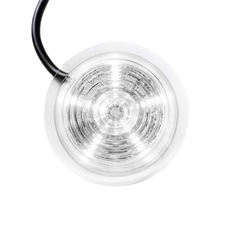 LED module clear lens multicolor+kn.licht 12-24V | 5m. kabel
