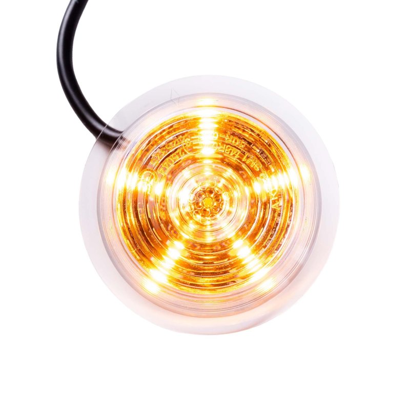 LED module clear lens multicolor+kn.licht 12-24V | 5m. kabel