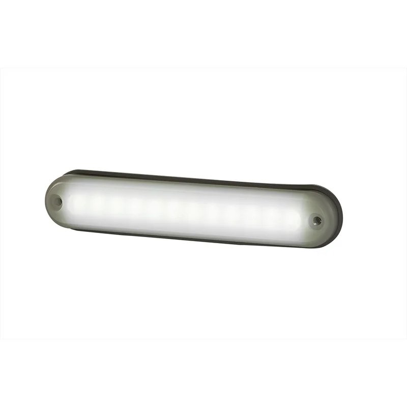 LED interieurlamp compact - 6500K - 220lm - 12-24V