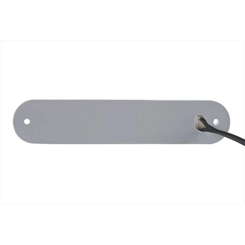 LED interieurlamp compact - 6500K - 220lm - 12-24V