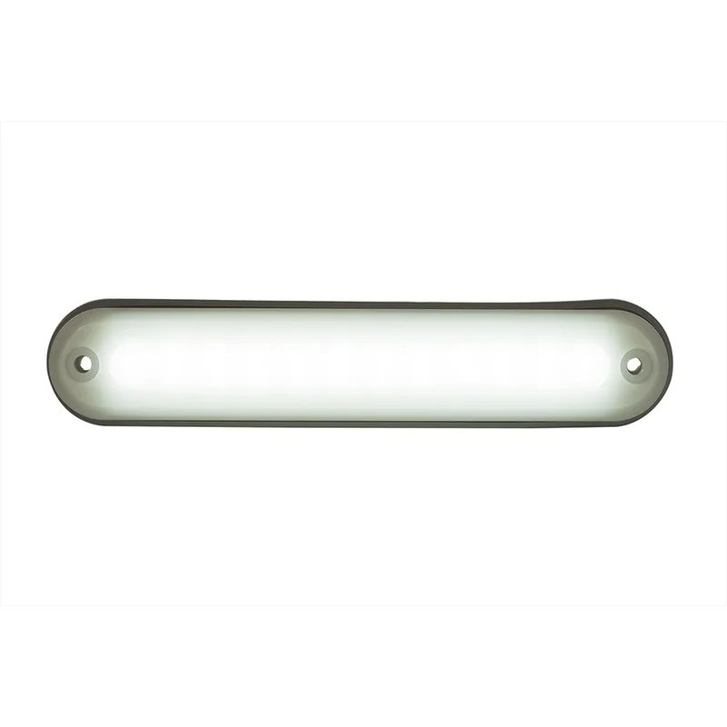 LED interieurlamp compact - 6500K - 220lm - 12-24V