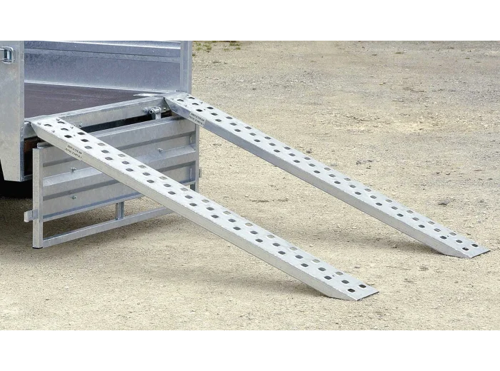 Rampes acier galvanisé 150 cm 400kg jeu de 2