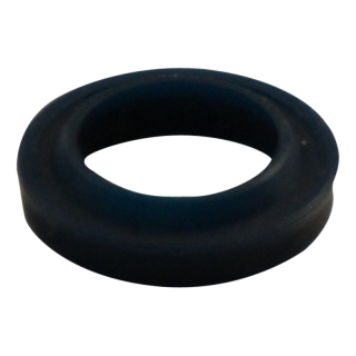 anneau PMS25